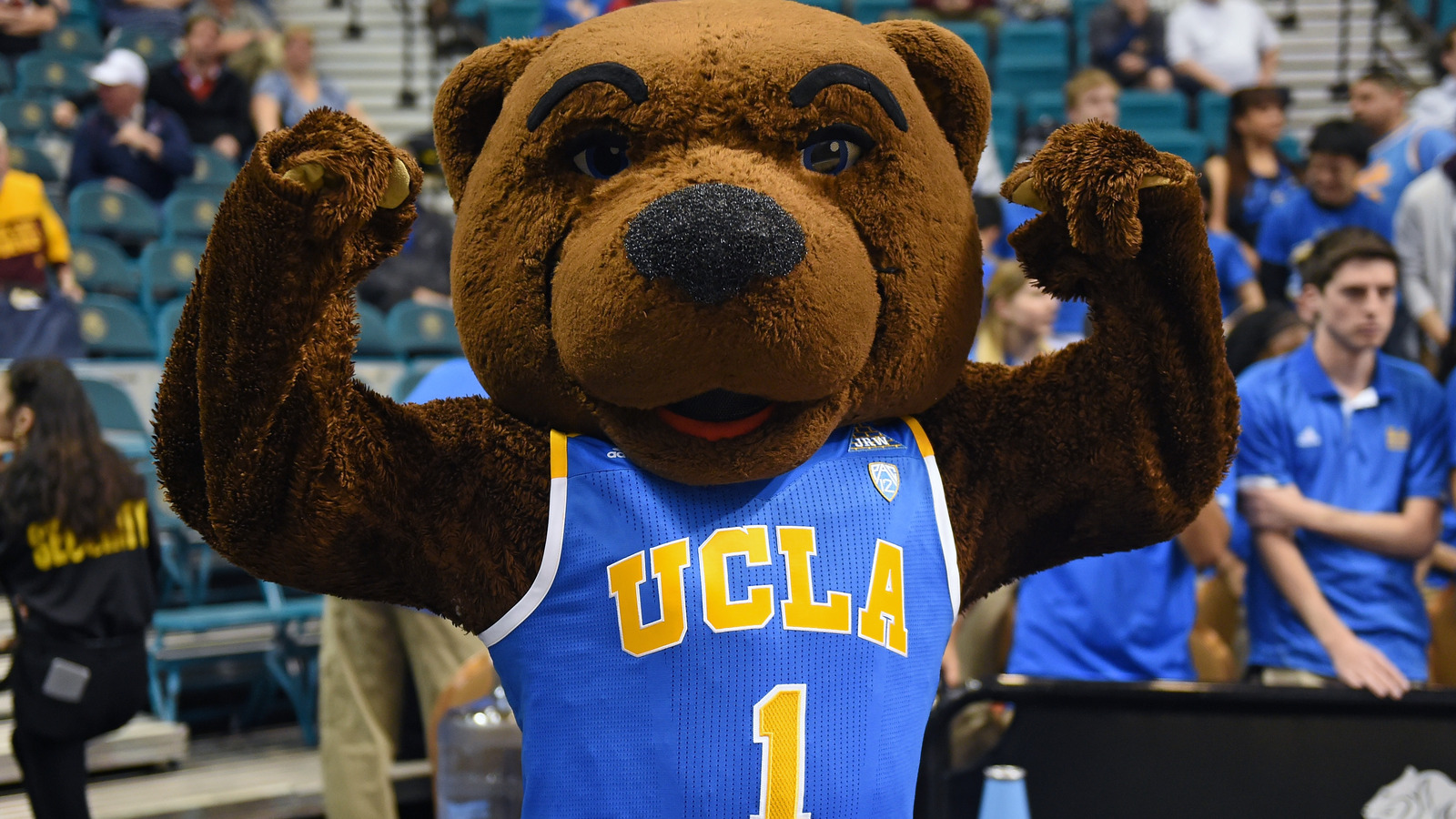 Joe Bruin Mascot UCLA