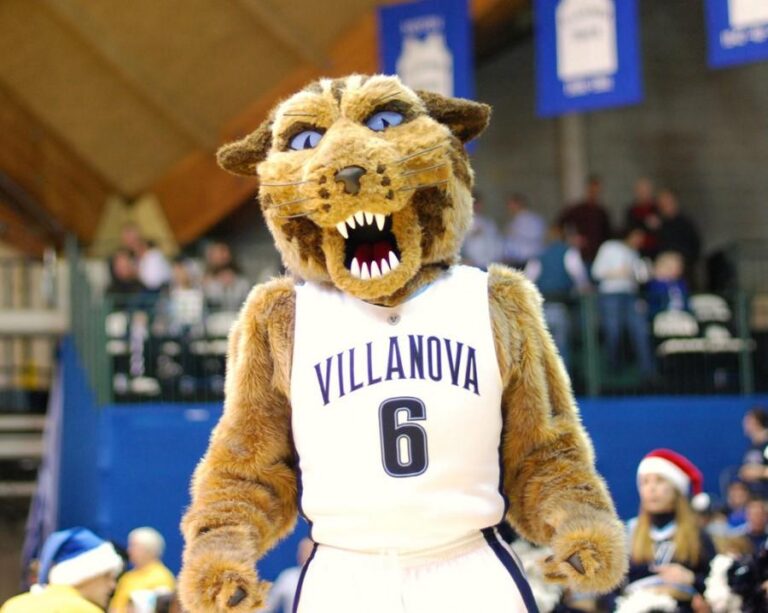 Sweet 16 Teams Ranked By Mascots Crisp Bounce Pass Newsletter